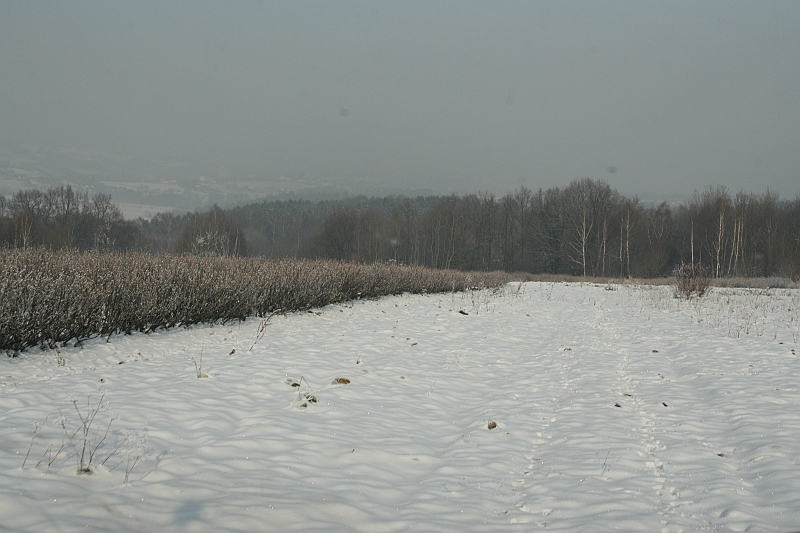 Przedwigilijny offroad 2007 007
